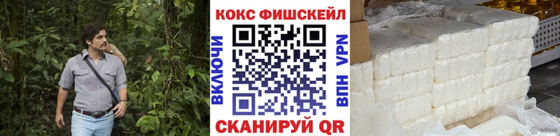 где продают наркотики  маркетплейс какой сайт  Cocaine Fish Scale  Дятьково 