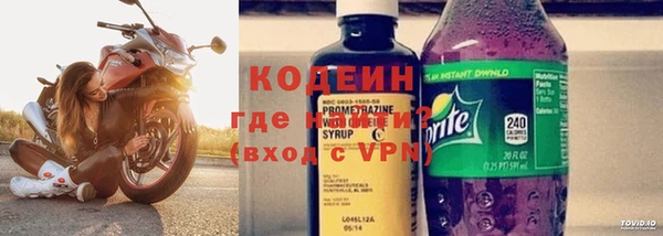 ГАЛЛЮЦИНОГЕННЫЕ ГРИБЫ Галич