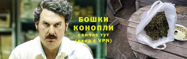 ГАЛЛЮЦИНОГЕННЫЕ ГРИБЫ Галич