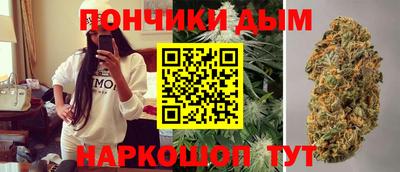 сатива Тверь