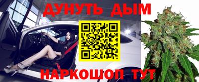 сатива Тверь