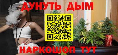 сатива Тверь