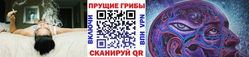 наркошоп  Дятьково  Галлюциногенные грибы ЛСД 