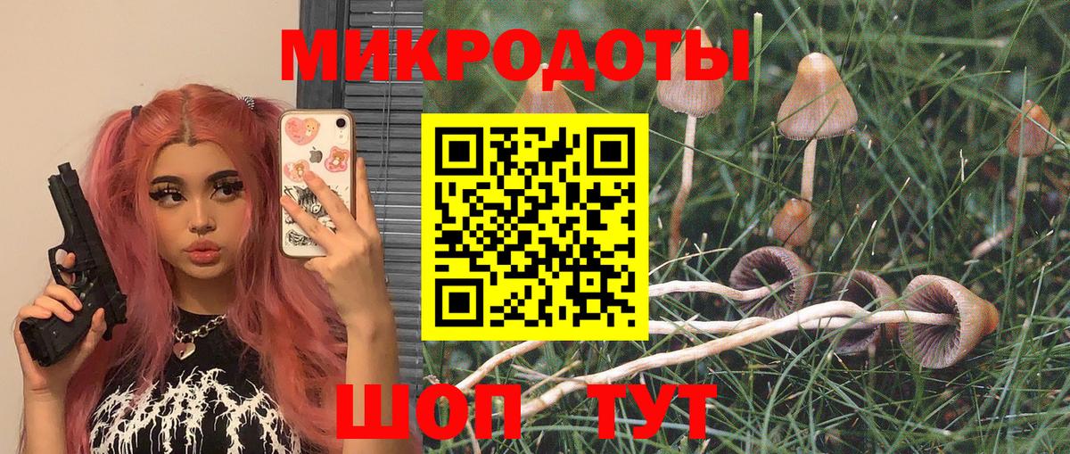 Псилоцибиновые грибы прущие грибы Дятьково