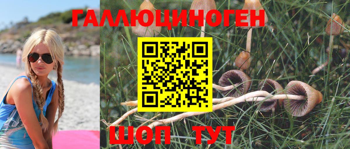 Дятьково  Галлюциногенные грибы ЛСД  Вход с VPN 
