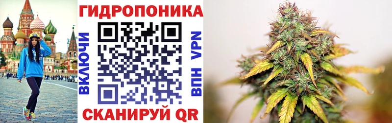 kraken вход купить наркоту Дятьково Бошки марихуана White Widow